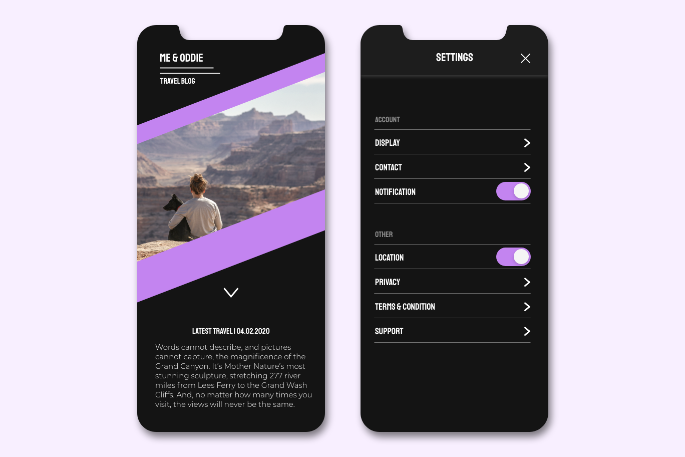 UI of a settings screen for a travel blog mobile app.